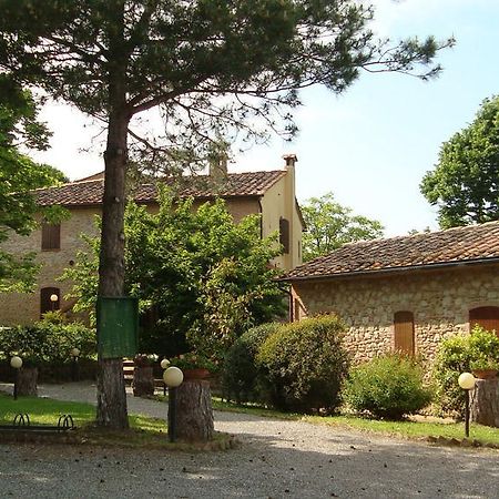 Agriturismo Il Prato Palaia Eksteriør billede